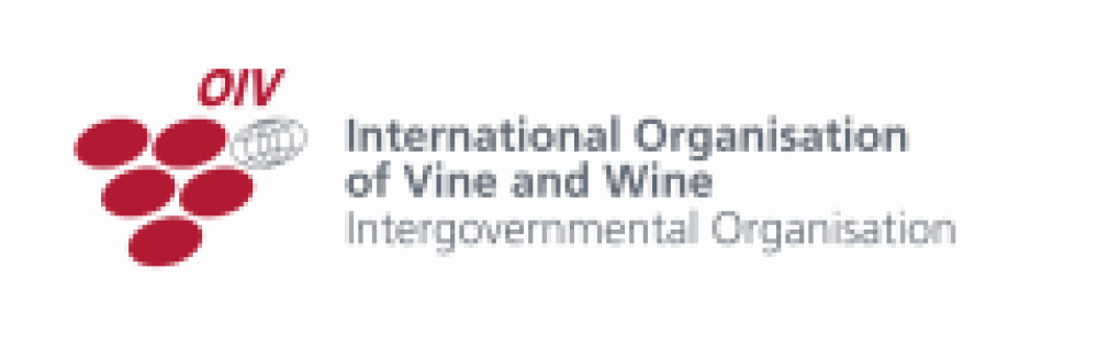Wine in Moderation Association joins OIV as Observer 