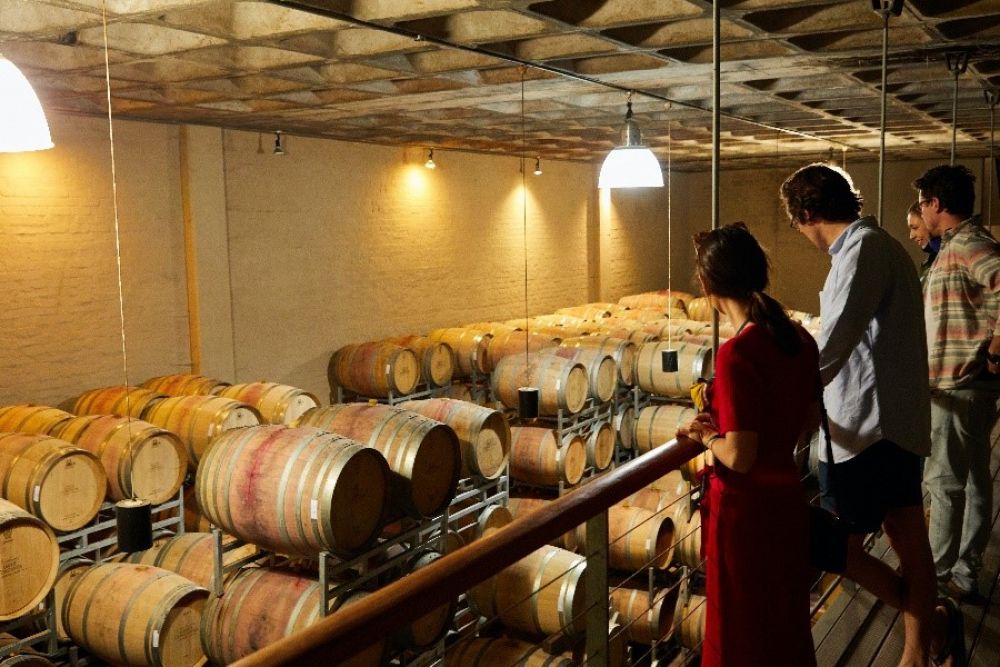 FEV and the International University of La Rioja (UNIR) launch a master's degree in wine tourism covering social responsibility and the Wine in Moderation Programme