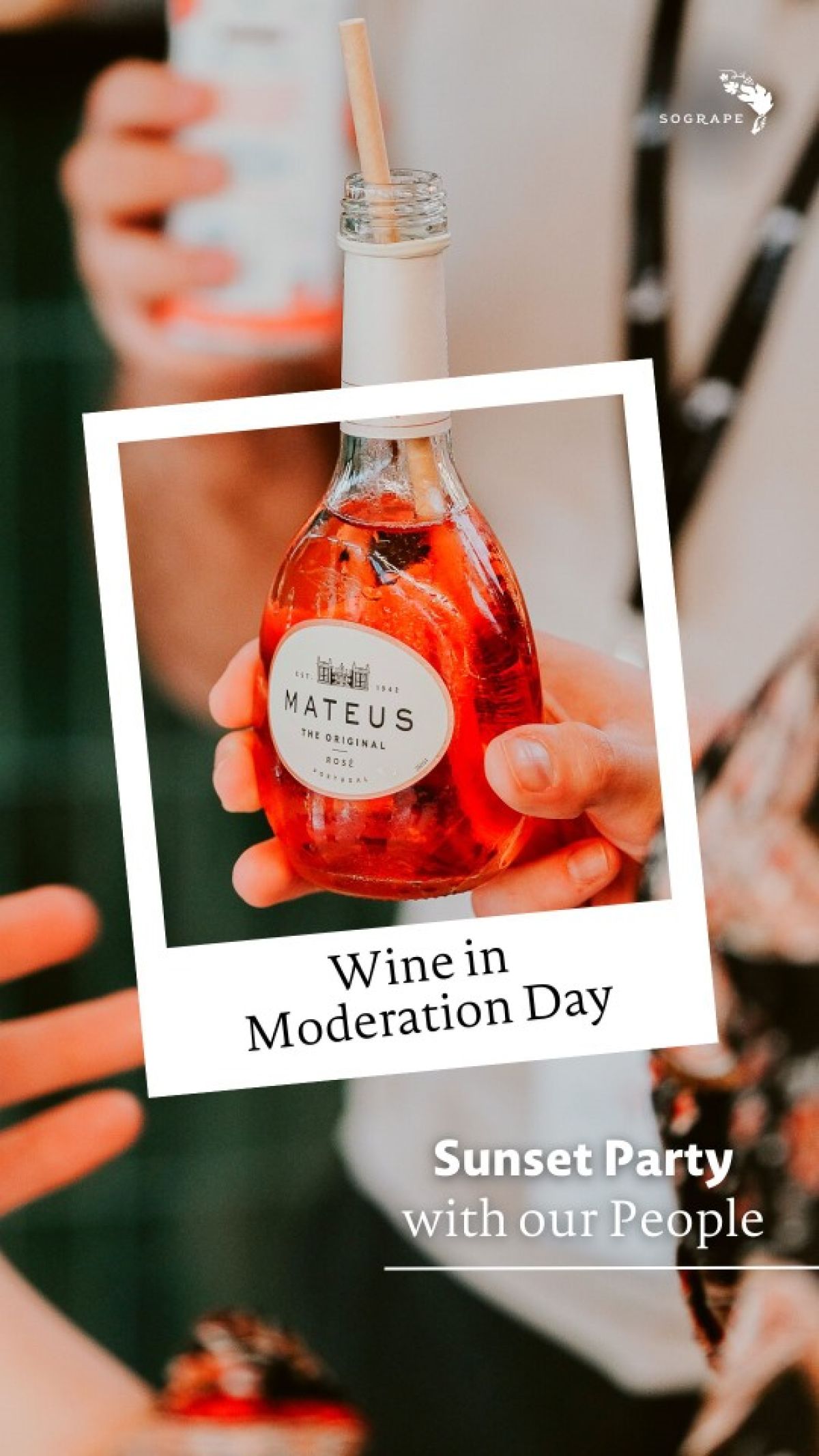 Escolha. Partilhe. Cuide. Dia Vinho com Moderação, um dia dedicado ao convívio, bem-estar e cultura vínica.