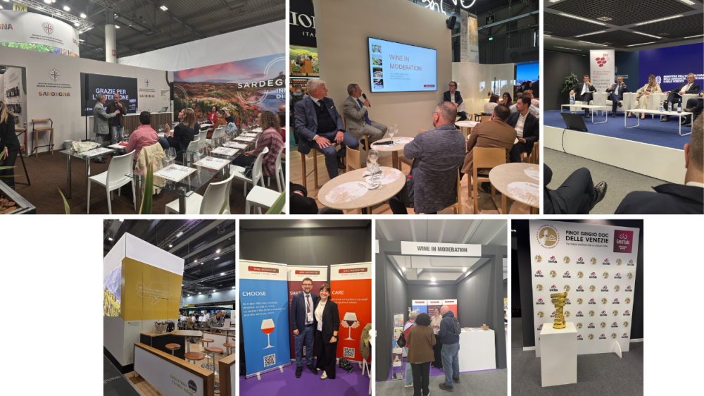 Wine in Moderation at Vinitaly 2026: our presence at the trade fair for the commitment to a sustainable wine culture