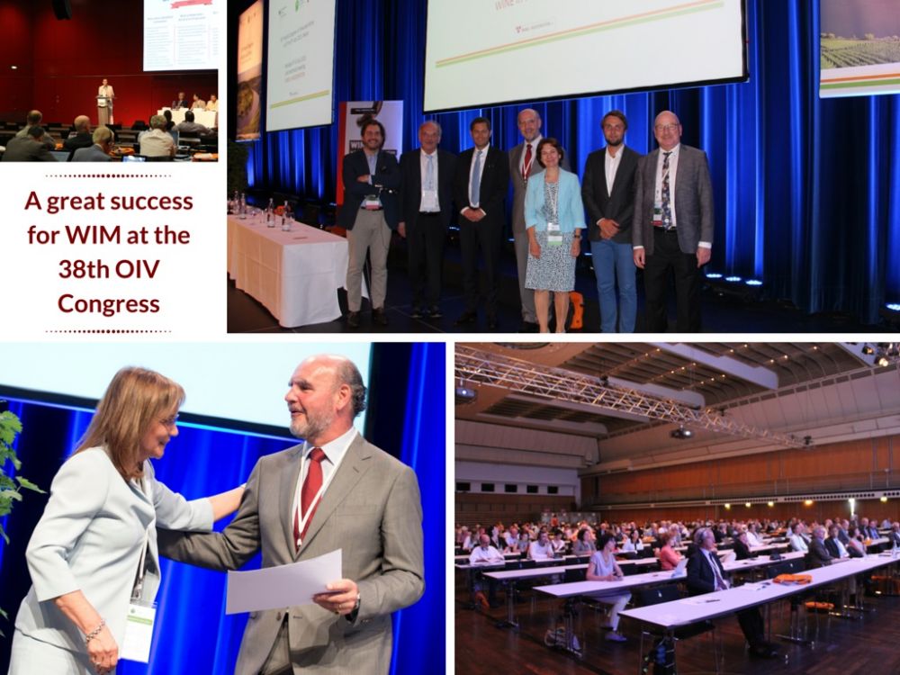Wine in Moderation: the key feature of the 38th OIV Congress
